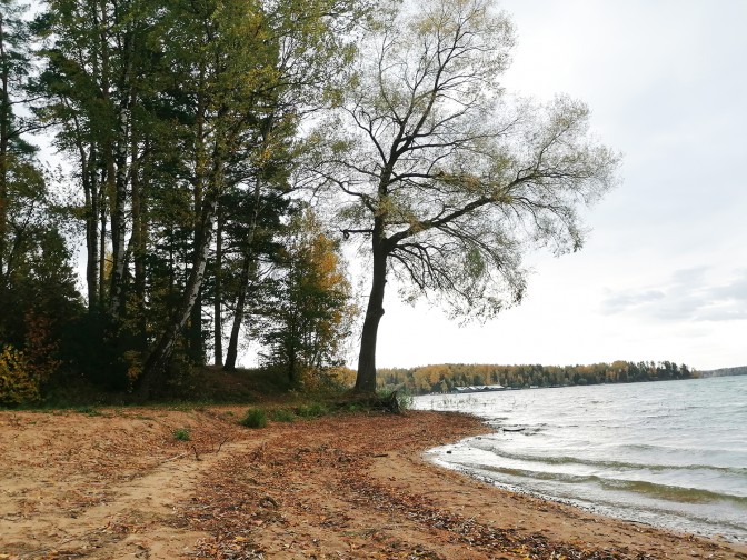image-3